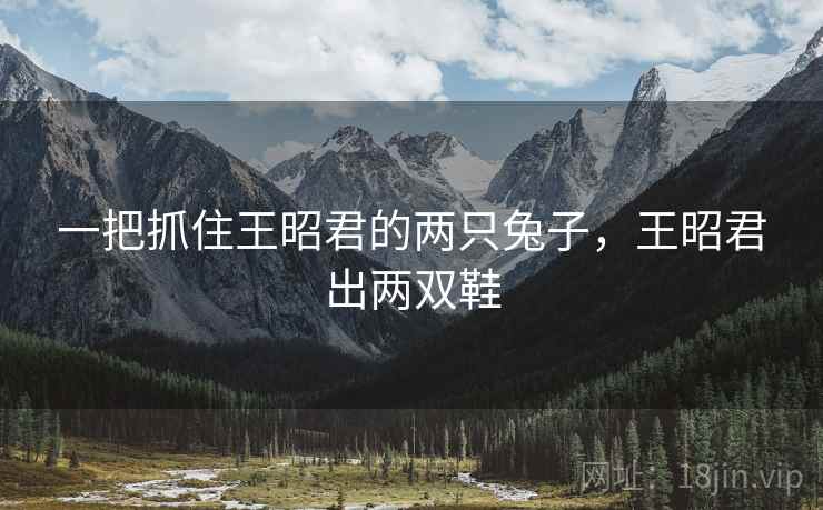 一把抓住王昭君的两只兔子，王昭君出两双鞋