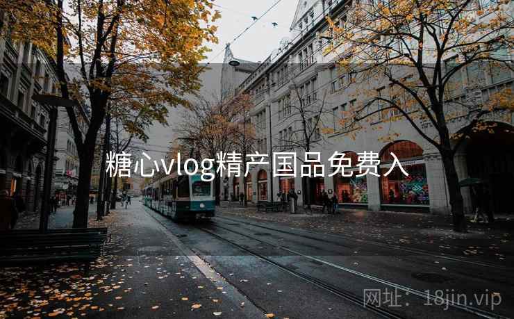 糖心vlog精产国品免费入
