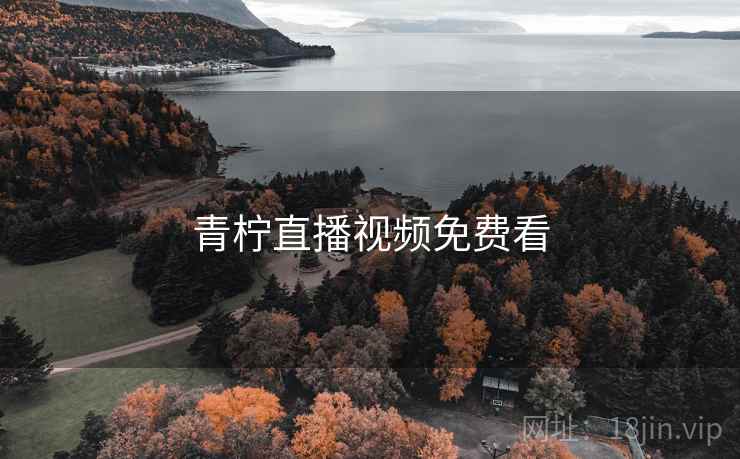 青柠直播视频免费看
