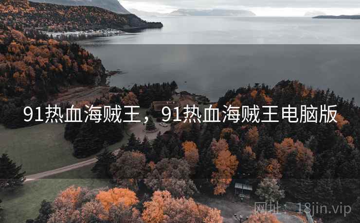 91热血海贼王，91热血海贼王电脑版