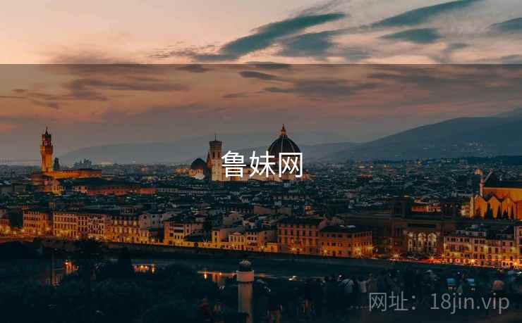 鲁妹网
