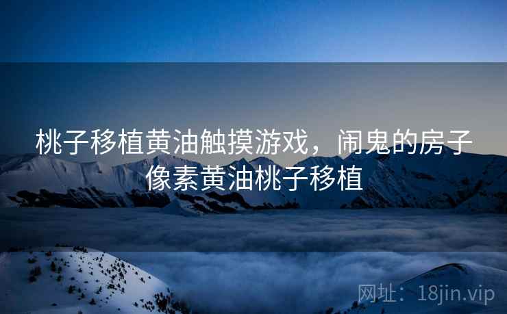 桃子移植黄油触摸游戏，闹鬼的房子像素黄油桃子移植